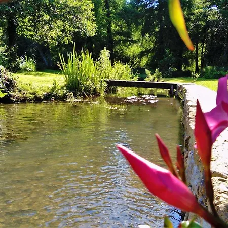 Domaine Moulin La Place * Saint-Martin-de-Saint-Maixent