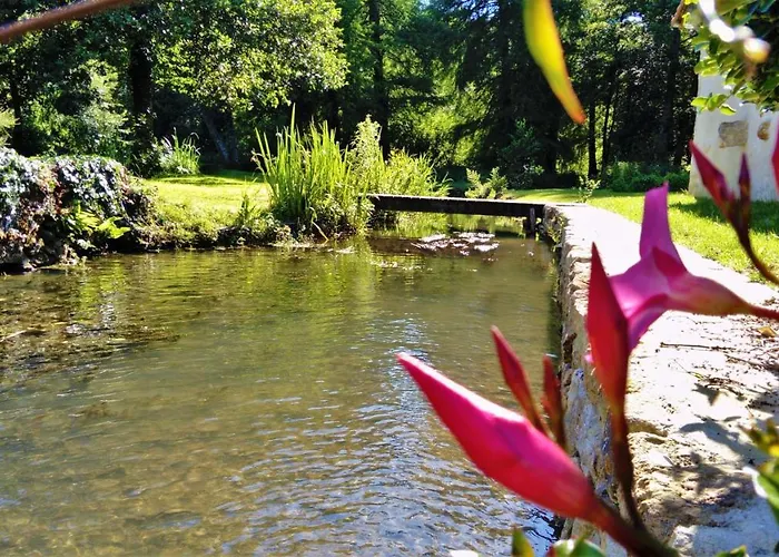 Domaine Moulin La Place * Saint-Martin-de-Saint-Maixent